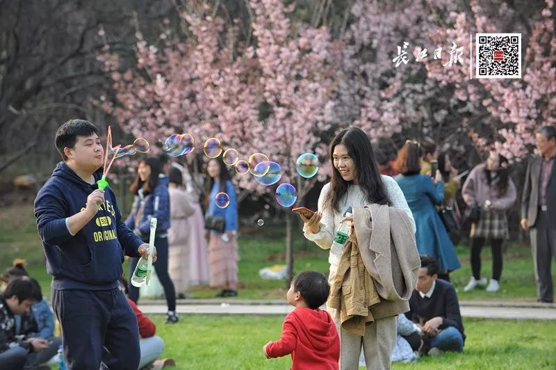 周末将有30万人游东湖，想去赏花？这份绕行避堵攻略快收好！(图13)