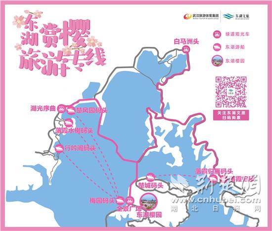 东湖樱花园正式开放 为市民提供三大专线花样赏樱