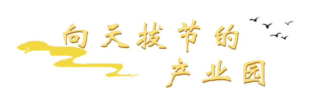 014879fc7b3fb9eff8fc220508ccfdb0_763887855989682176.png