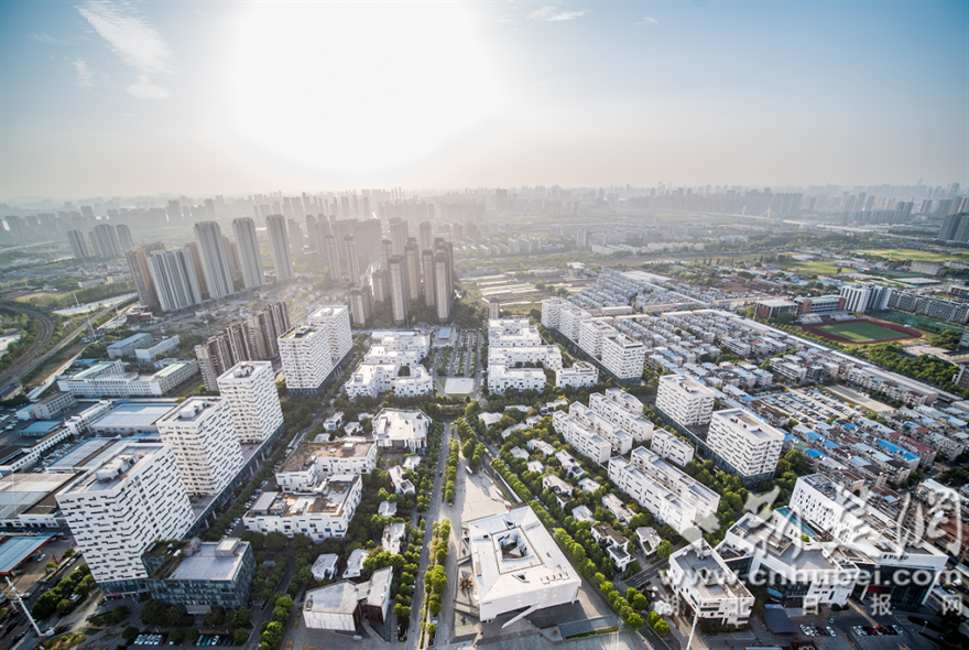 武汉市“金种子”“银种子”名单出炉，洪山区12家企业入选 (2).png.png