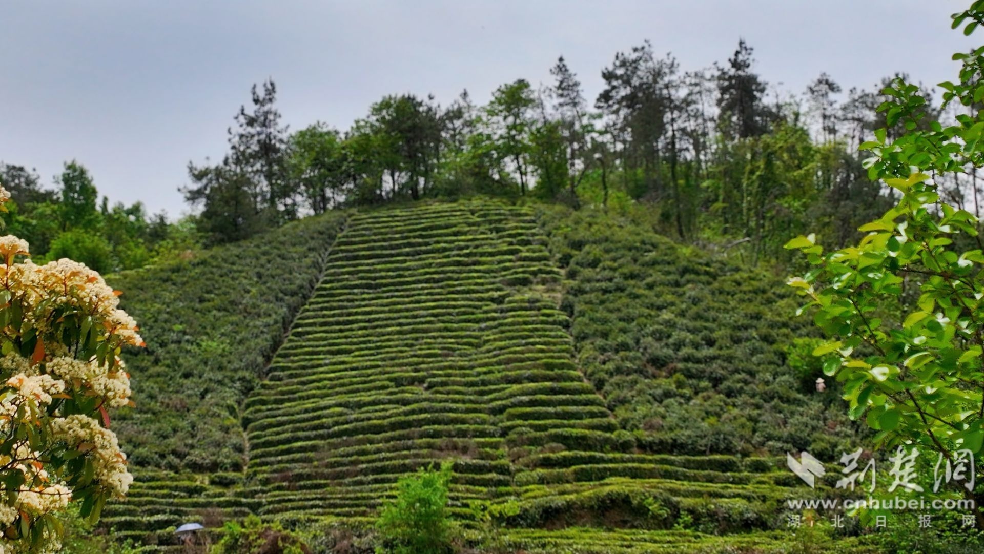 5a677739e8f955ce9f0775f49f25853c_1920X1081_20250418143650