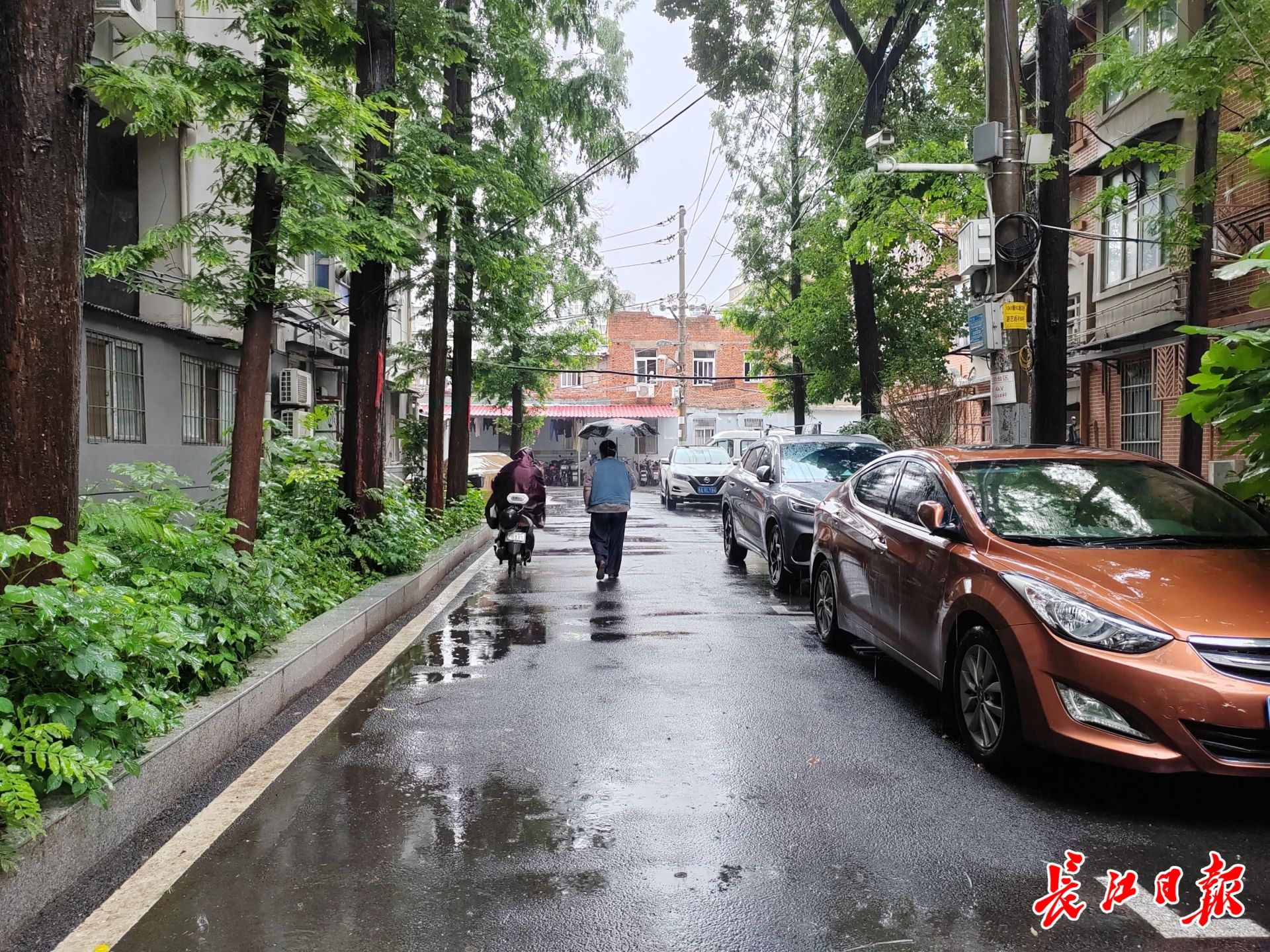 武汉在大雨中，这座城市像往常一样奔跑