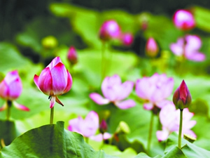 ��2014�人�»��ǡ���Լ�人����˵�