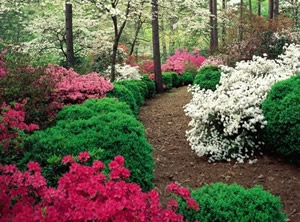 �����ͻ�ȥ�Ķ�? 33����·�����л���