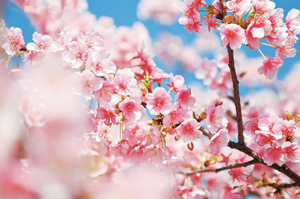 ��ʱ�ε��ͺλ�����ȫ���ڱ�����仨��