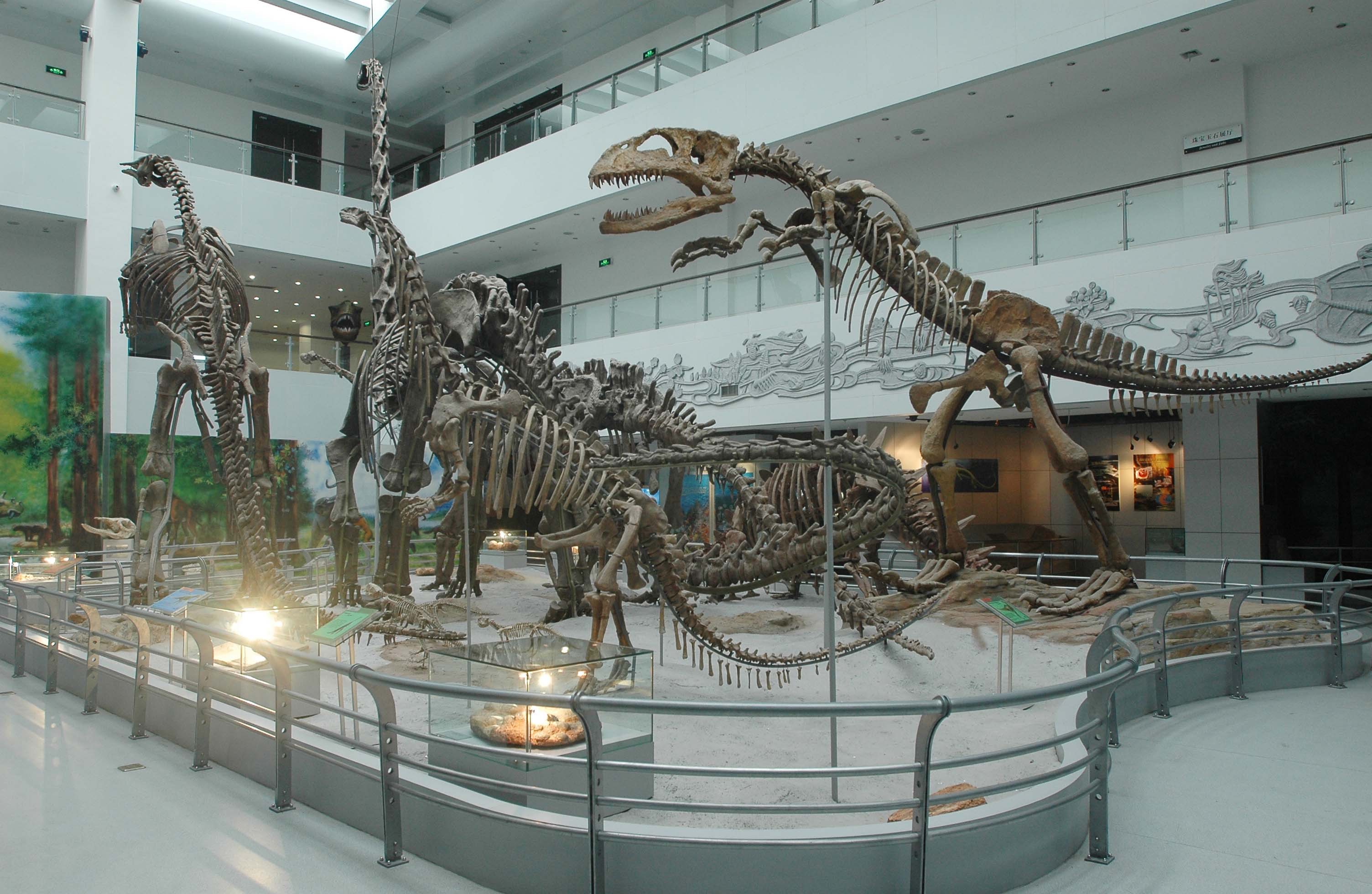 地大逸夫博物馆:穿越地球46亿年沧桑历史