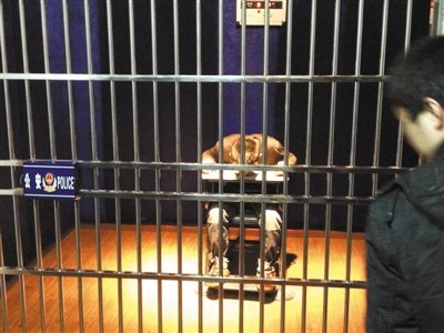 团伙拐骗聋哑人逼其进行盗抢 要求牢记34条帮规