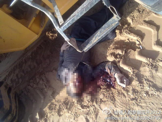 微博网友@迷人的梦里花开2012 发布图片。