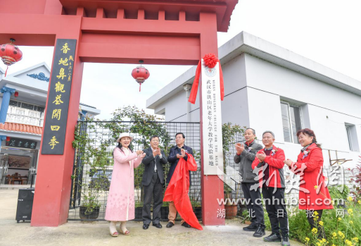 洪山区老年大学图片