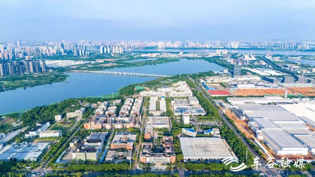 奋进逐"新" 武汉经开区软件产业集群发展格局初成